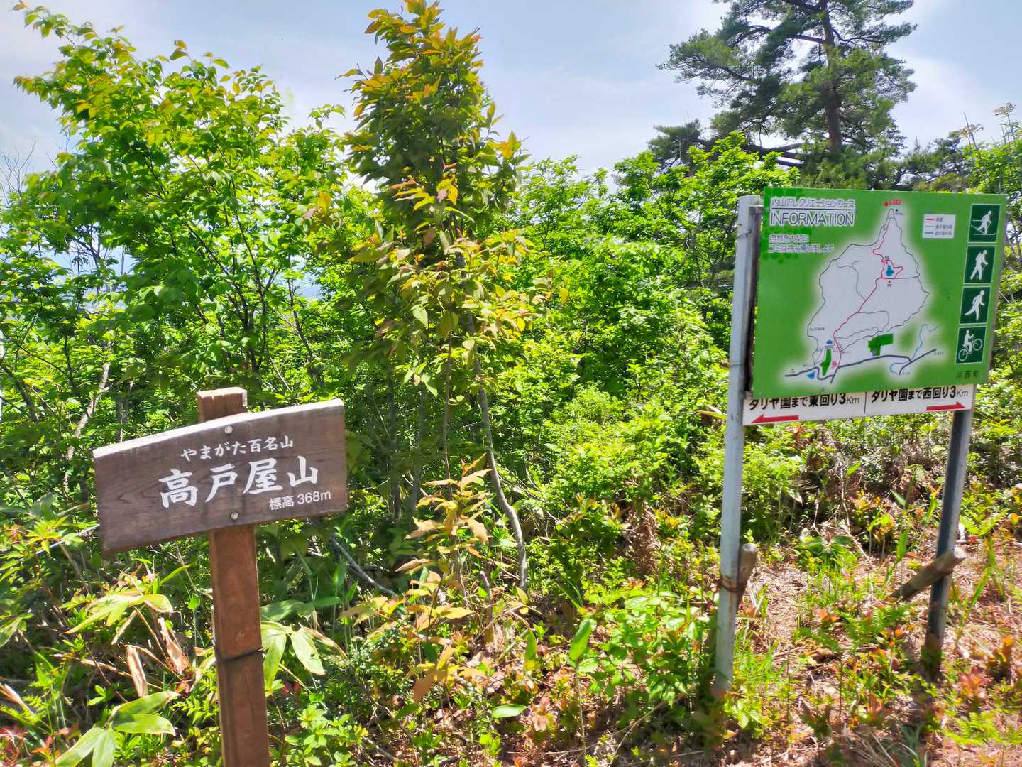 高戸屋山 周回コースの写真