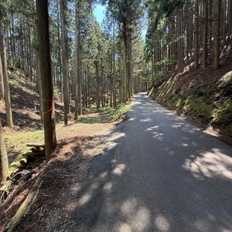 ここで477号とはお別れ。左が天ヶ岳登山口