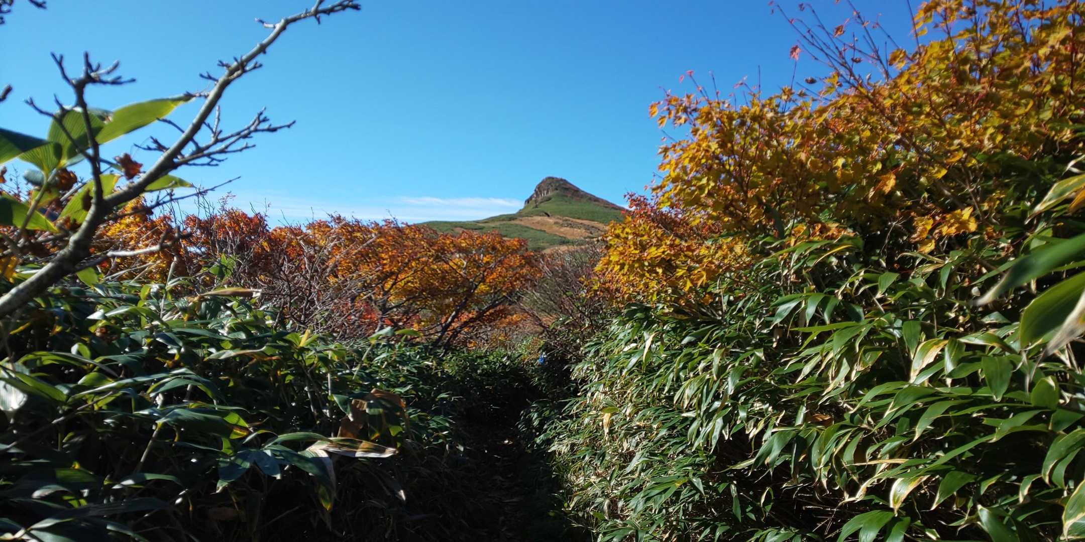 烏帽子岳登山口-烏帽子岳-平ヶ倉登山口 縦走コースの写真