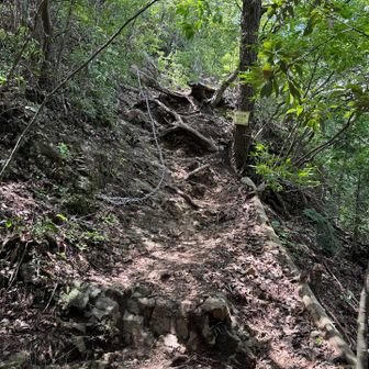 愛宕山まで意外に急登です。