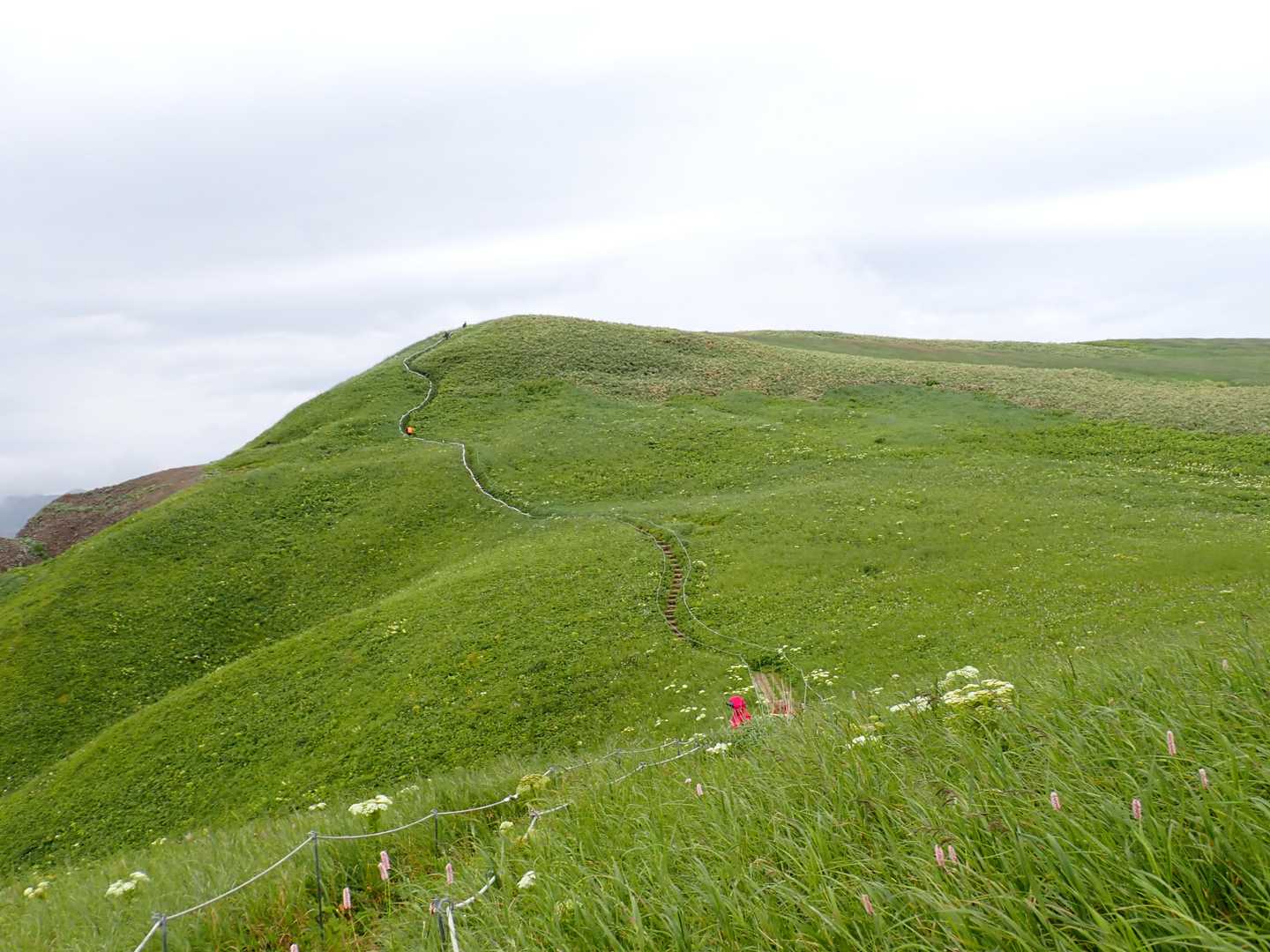 これから進む登山道が見えます。