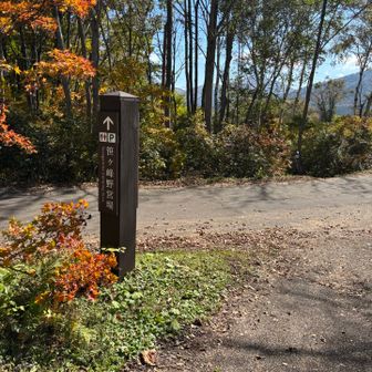 野営駐車場🅿️に