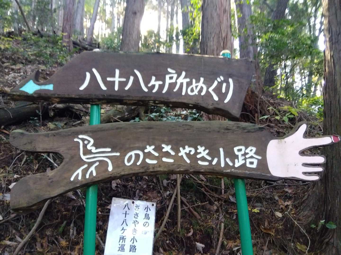 鳥のささやき小路…こんな道もあるんだ〜😆
