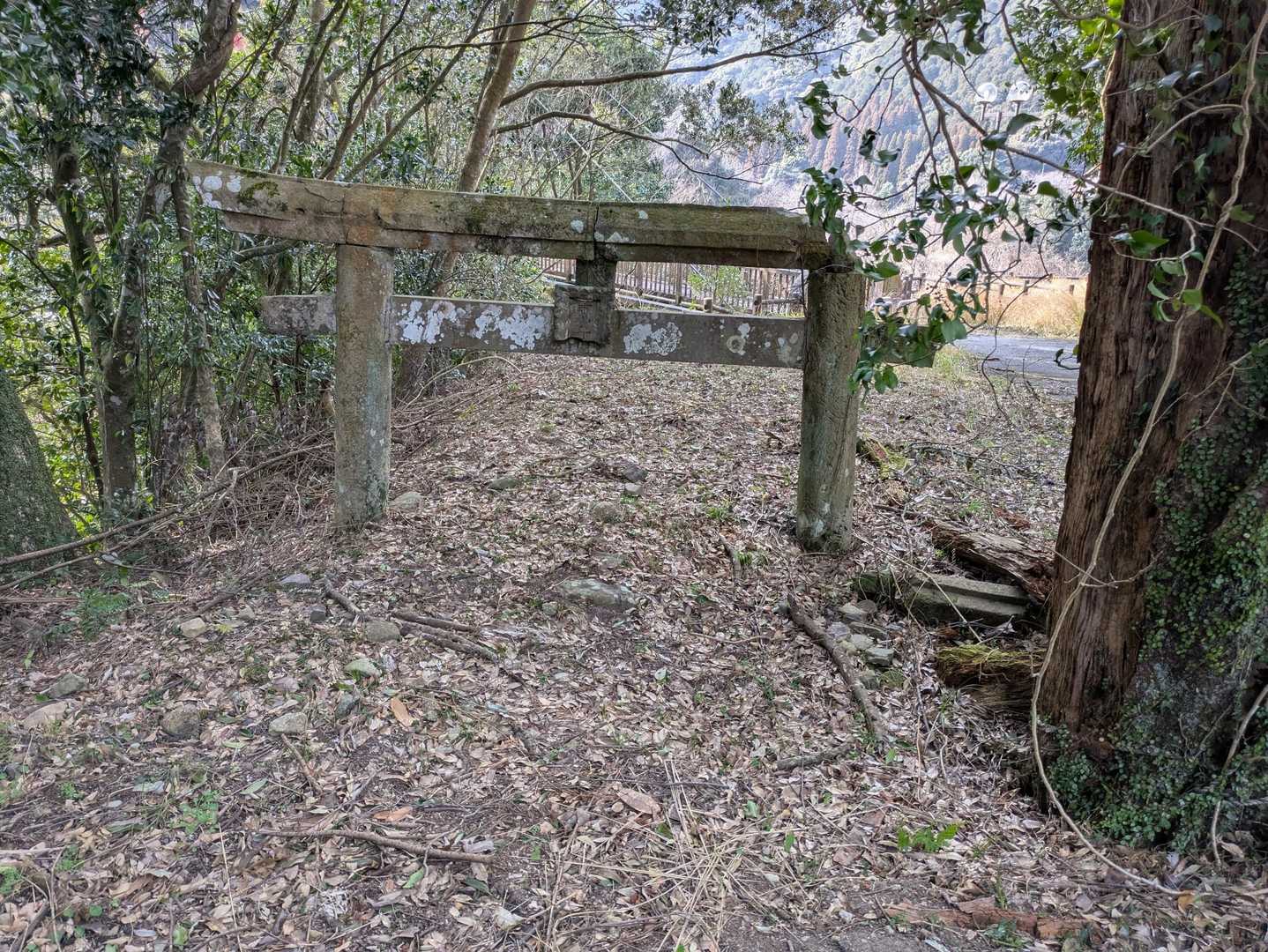 埋没した古い鳥居。