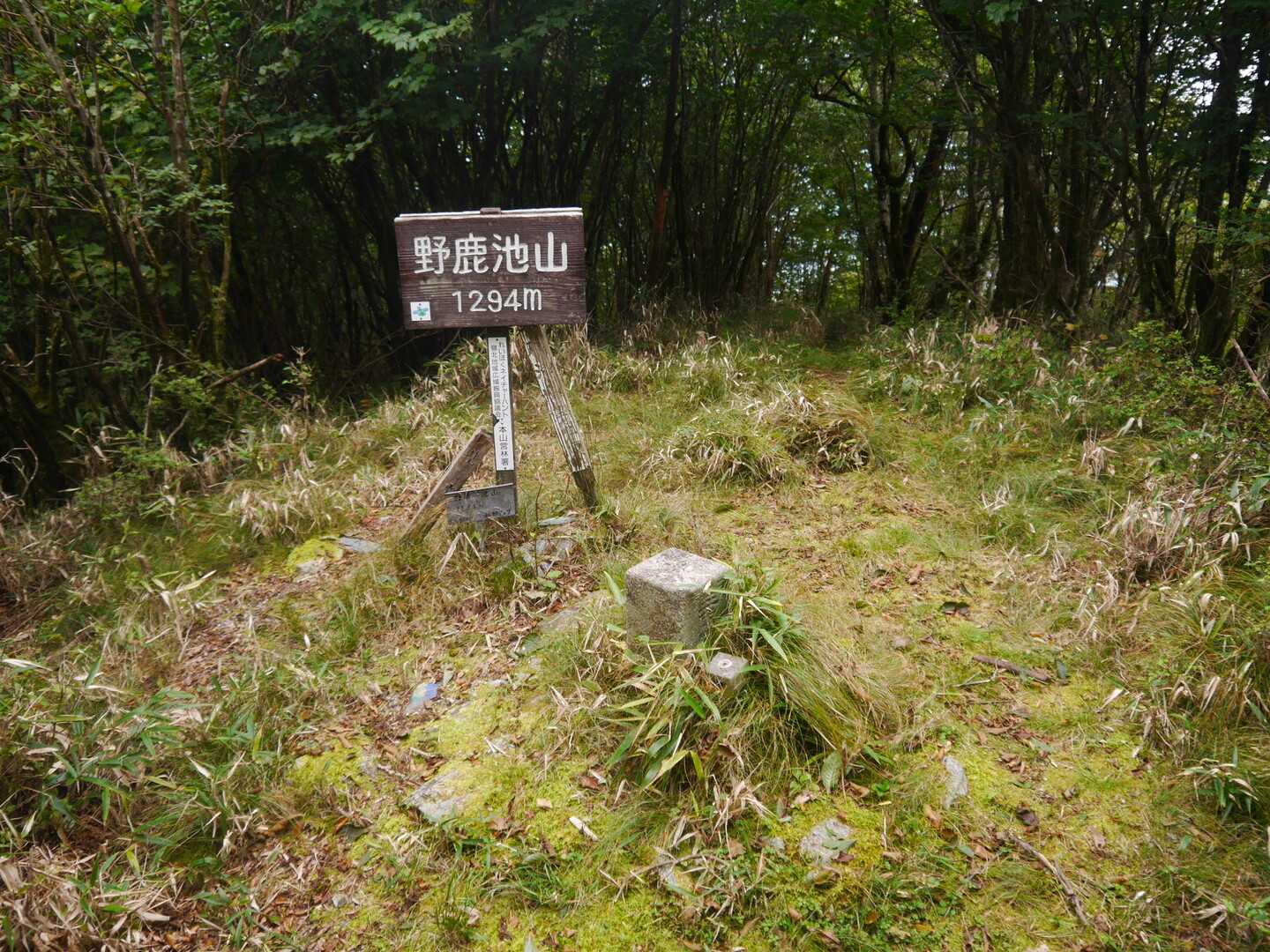野鹿池山の写真