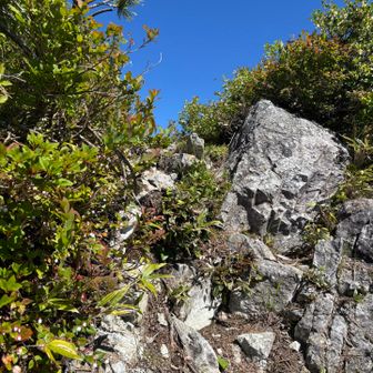 岩場の急登も！
下山は注意⚠️