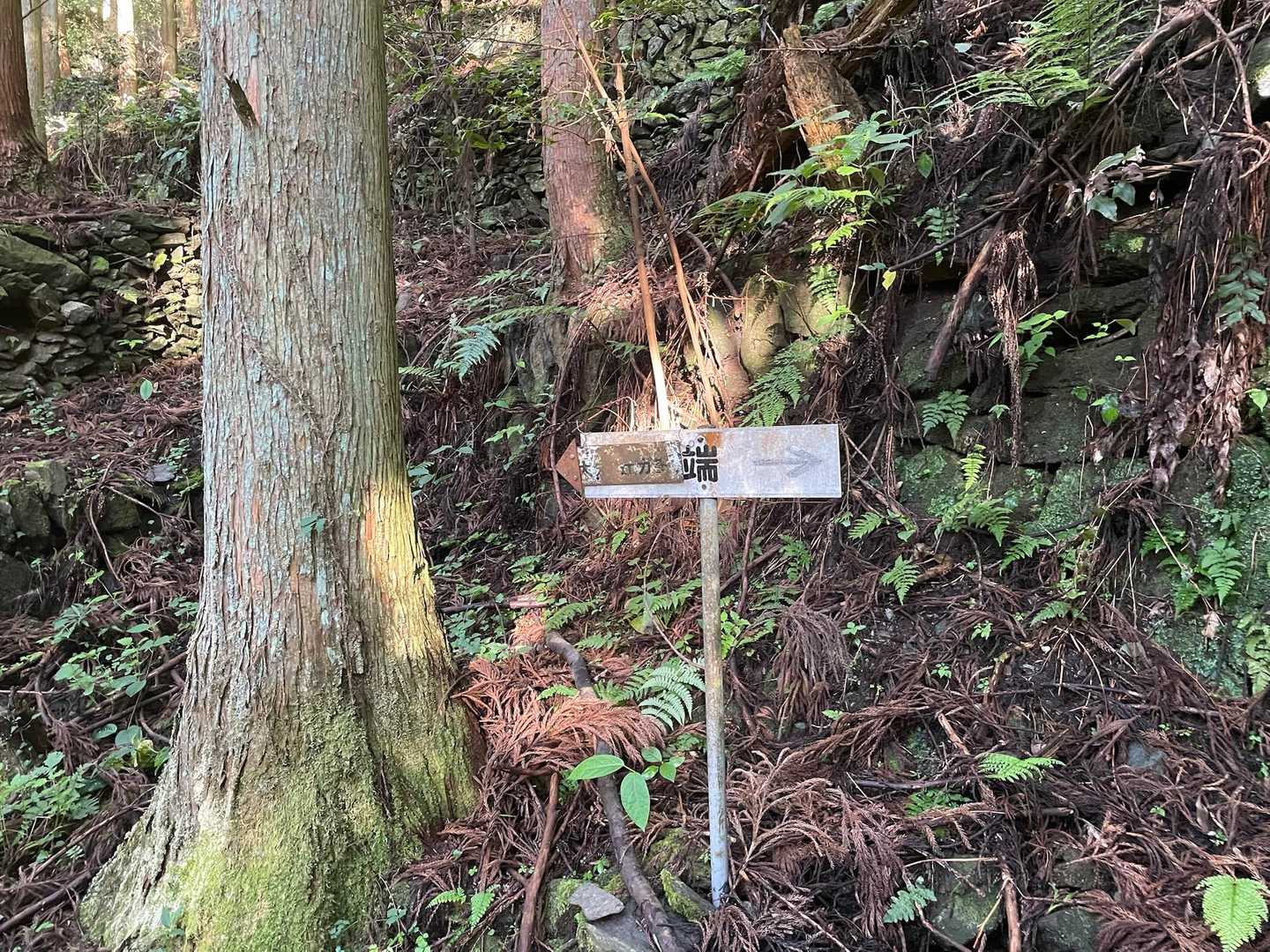 この標識で左に行きます