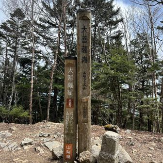 大菩薩嶺山頂。ここまで展望が良すぎる分、地味感が際立つ。