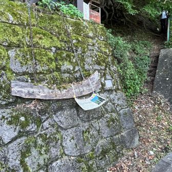 ここに出た
膝が限界