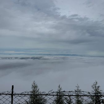 山頂で雲海？らしきものが見えた