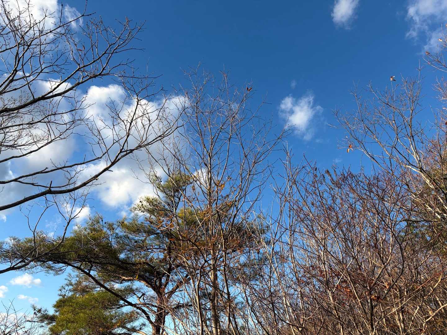 今日は本当に午後は風もなく
山歩日和です🚶‍♀️