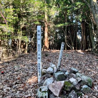 後世山山頂（南峰）
木に囲まれて景色は全く見えません。