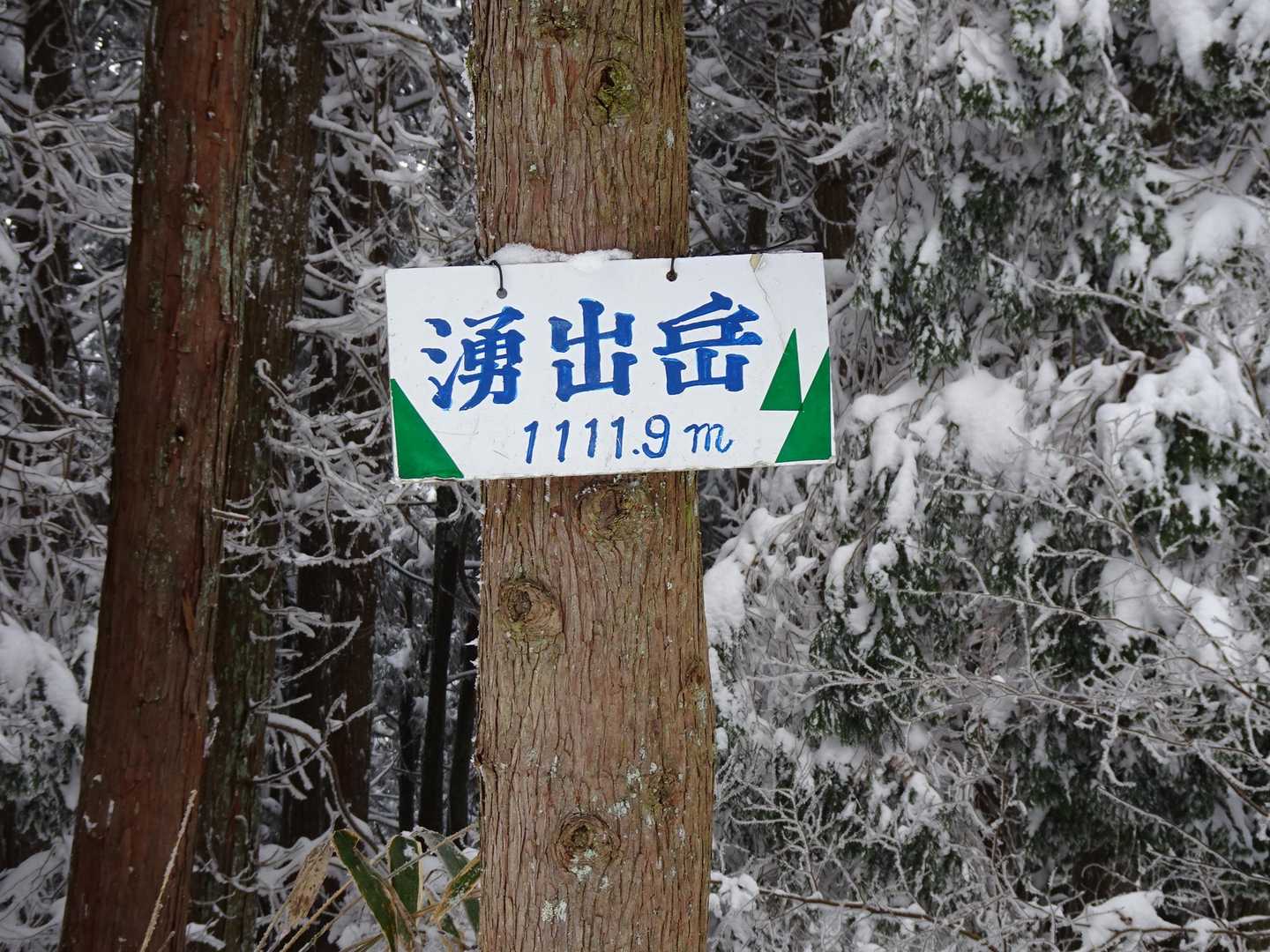 寄り道🤭