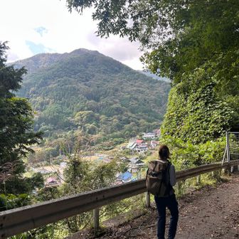 防獣扉を　え〜通行止め？　通れないの？って勘違いした私でした