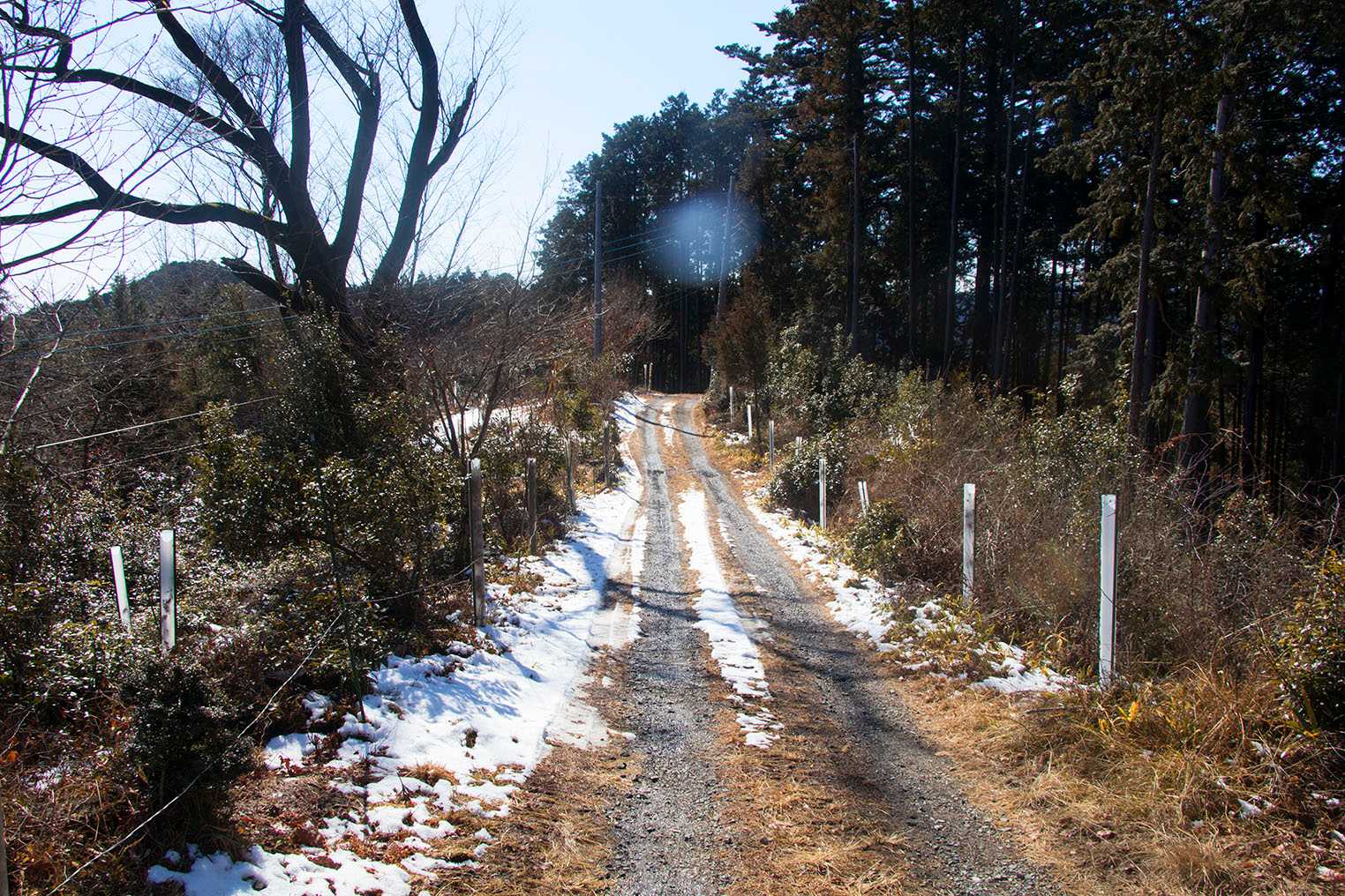 この辺がユガテ、2軒の民家がある山上集落で道沿いに炭窯もありました。
