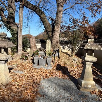 戦国武将の竹中半半兵衛のおはか