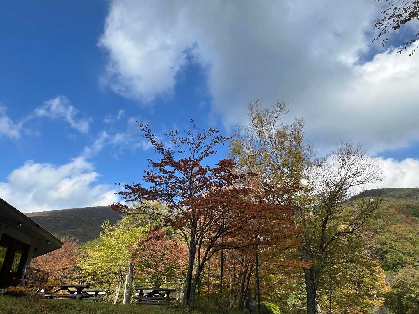 ひろしま県民の森登山口-展望園地-立烏帽子山-池ノ段-越原 周回コースの写真