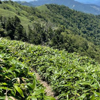 さあ、丸石山方面に向かいます