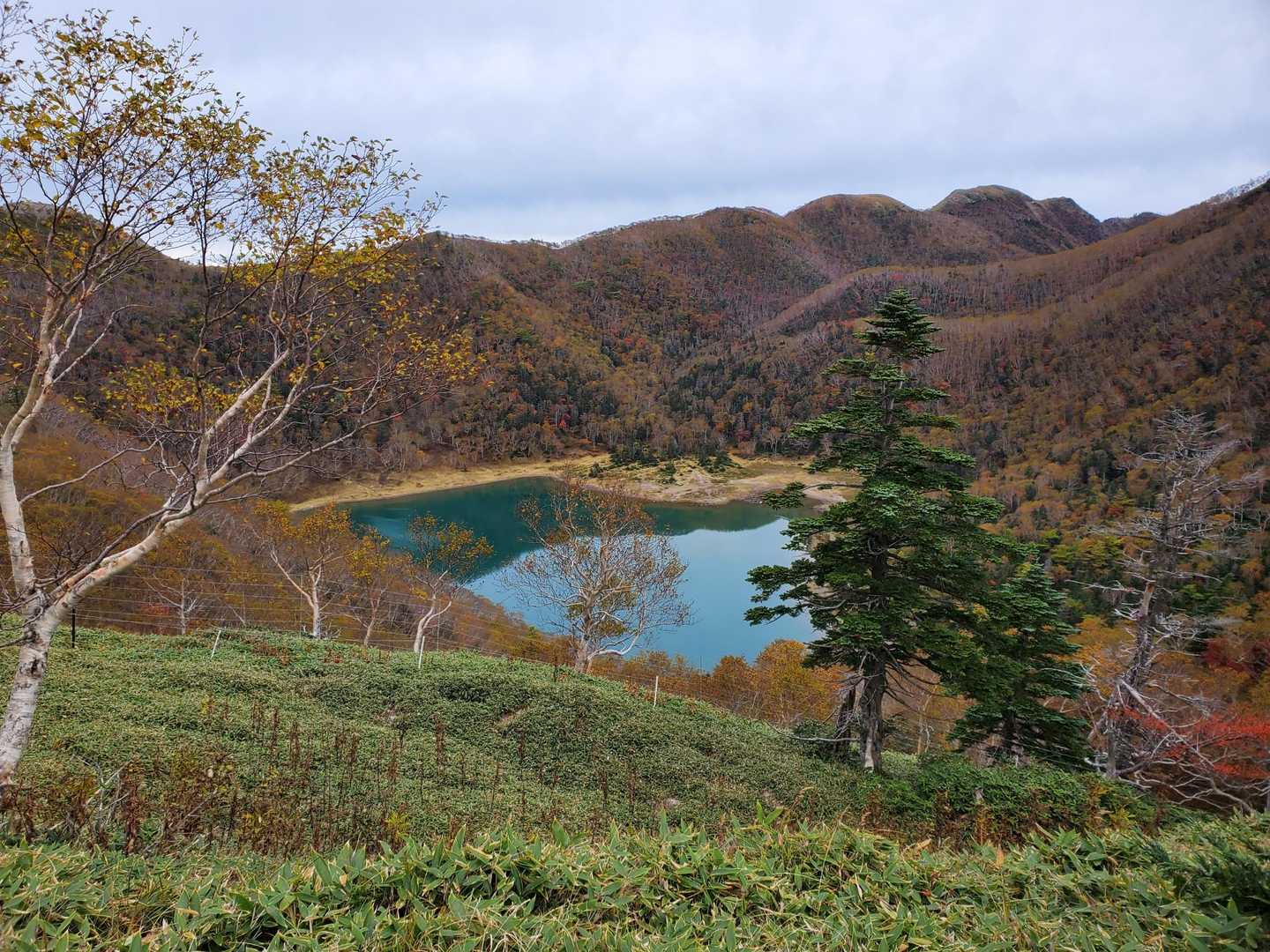 五色沼