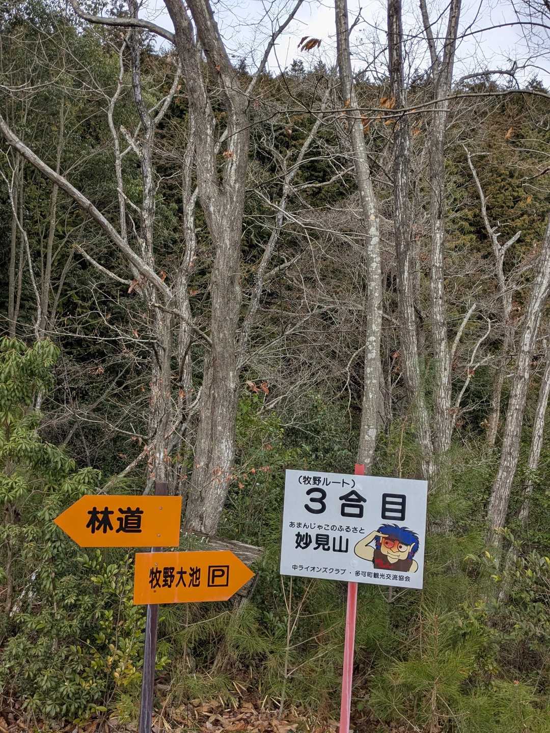 　　牧野ルート❨３合目❩