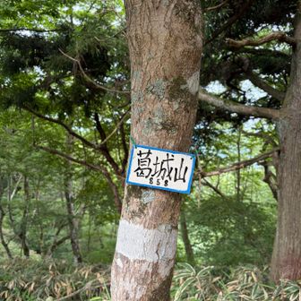 関西百名山だが、山頂標識は手作りのみ。