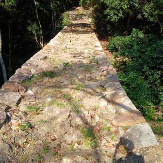 石段の跡？