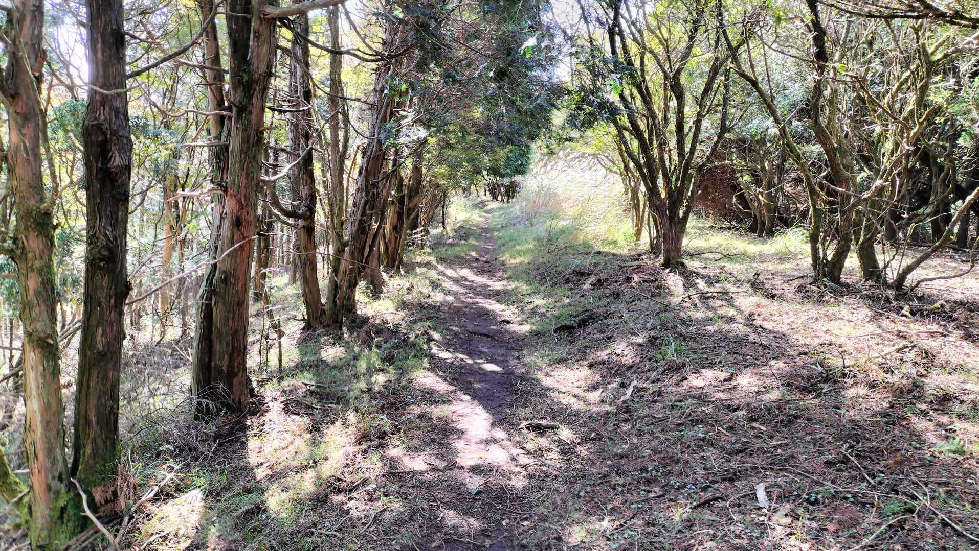 しばらく尾根道です。