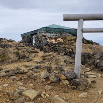 避難小屋の中に御朱印がありました