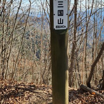 生藤山から少し進むと
三国山(みくにさん・960m)
－－－－－－－－－－－－－－－－－－
三国峠とも呼ばれる。武蔵、相模、甲斐の国境に位置するからで、その昔三国街道を行き来する旅人たちが一休みしたという。