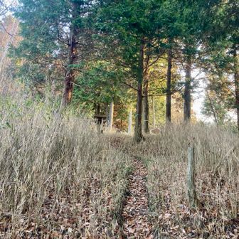 やっと山頂らしきところまで