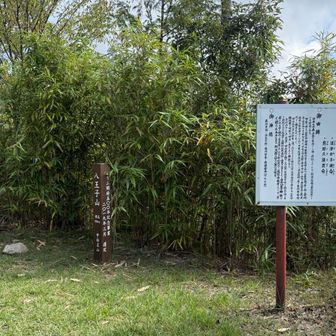 甲府名山