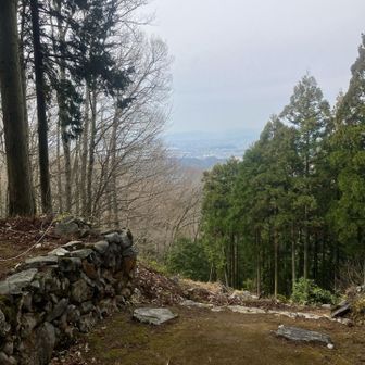 進行方向左手に四角の虎口の石垣があり。
本丸の正面玄関ということのよう。