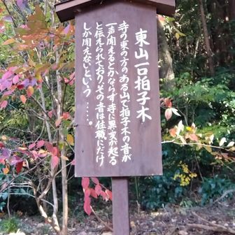 えー、こーわーいー😰