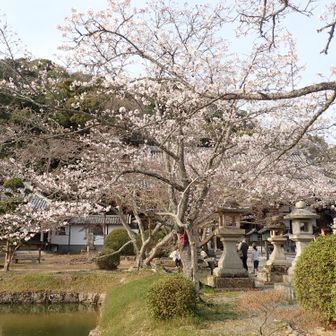 光明真言殿(重要文化財)付近💮