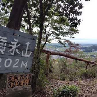こちらからも眺望が素晴らしいのですが、倒木ありますね😅