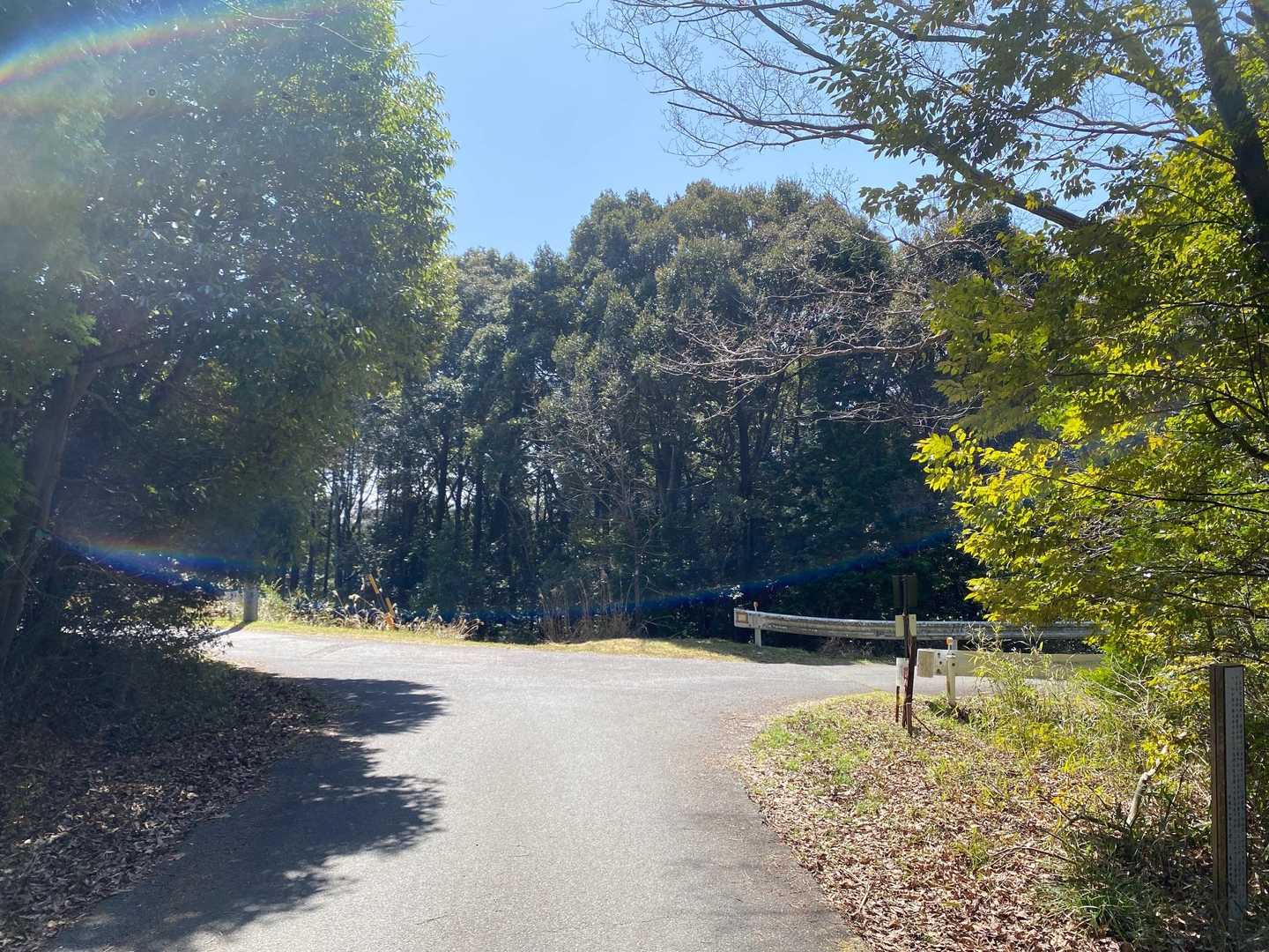 一旦車道に出て関富士方面へ🚶‍♀️
ここを右に曲がってから、新緑🌿と桜🌸が素敵すぎて走るのをやめました💕