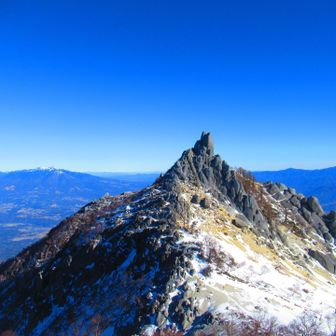 振り返るとヤツが居る
