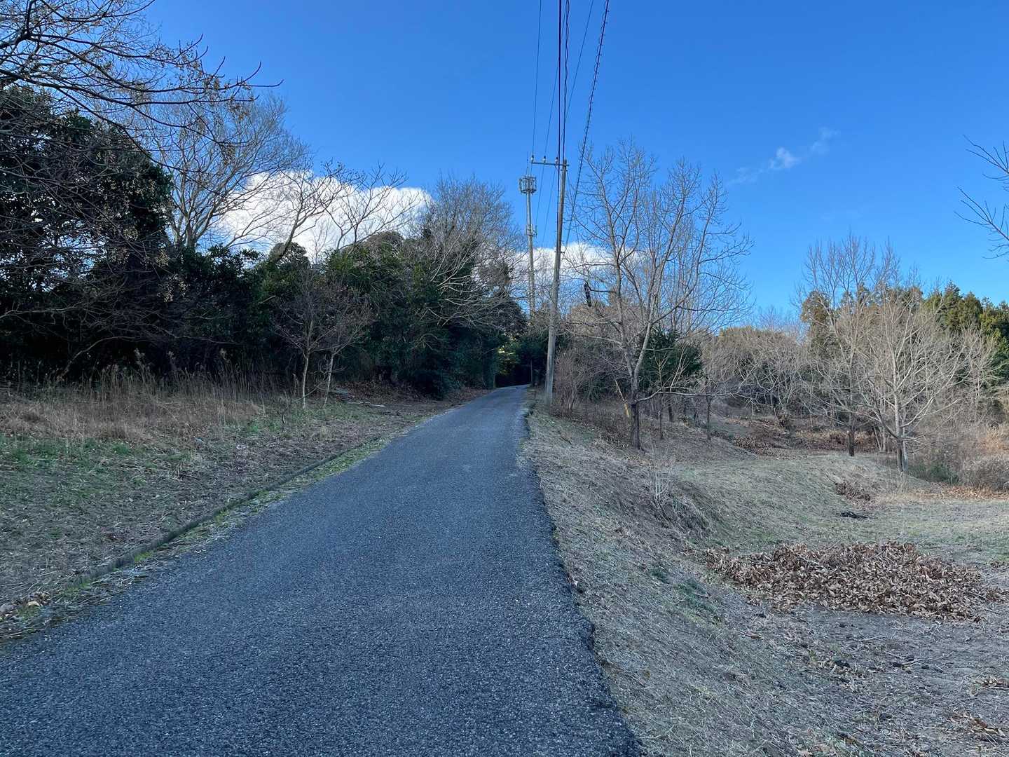 一旦県道に出て改めて富山登山道に入ります。