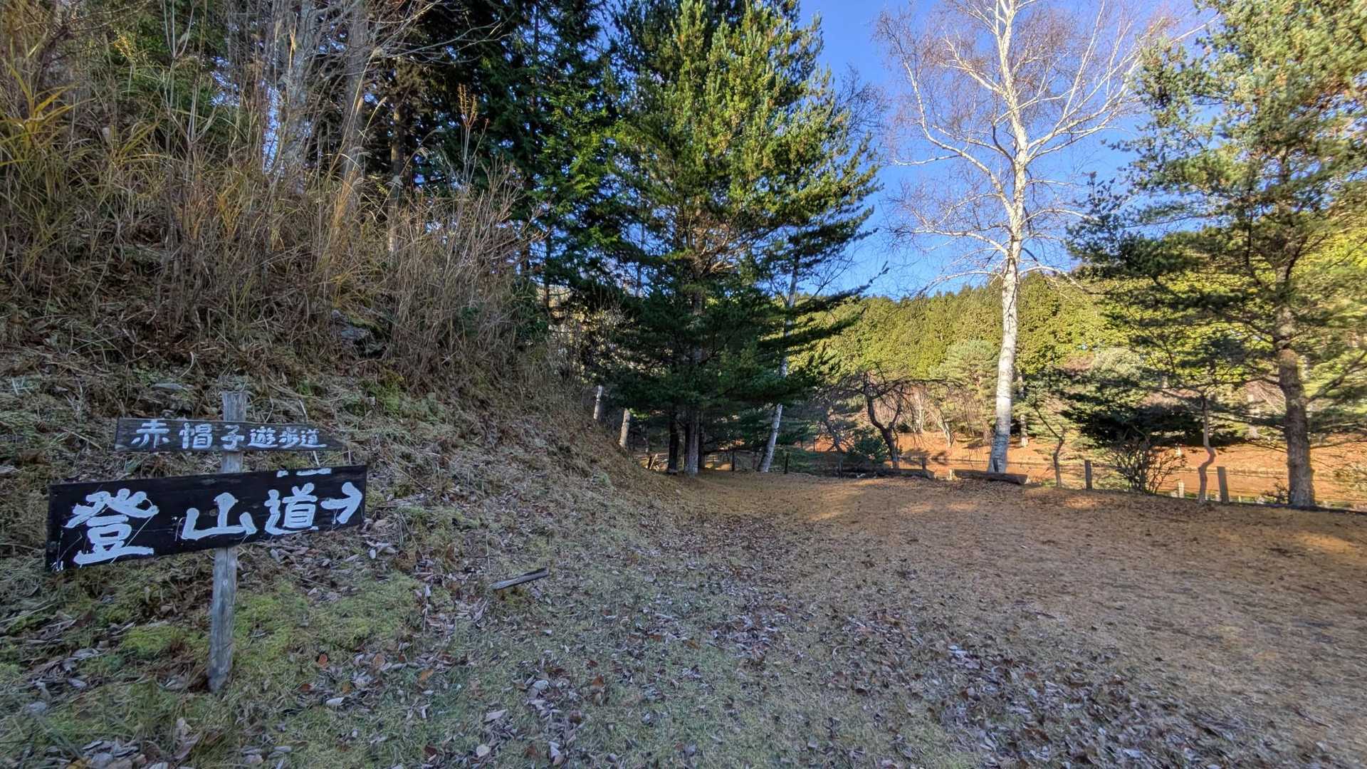 赤帽子遊歩道
登山道→

ここからstart🚶‍♀️