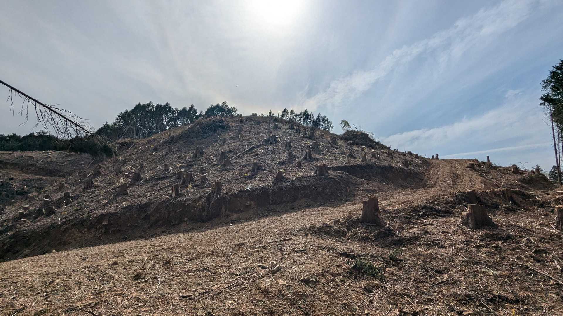 道徳山-緑山 周回コースの写真