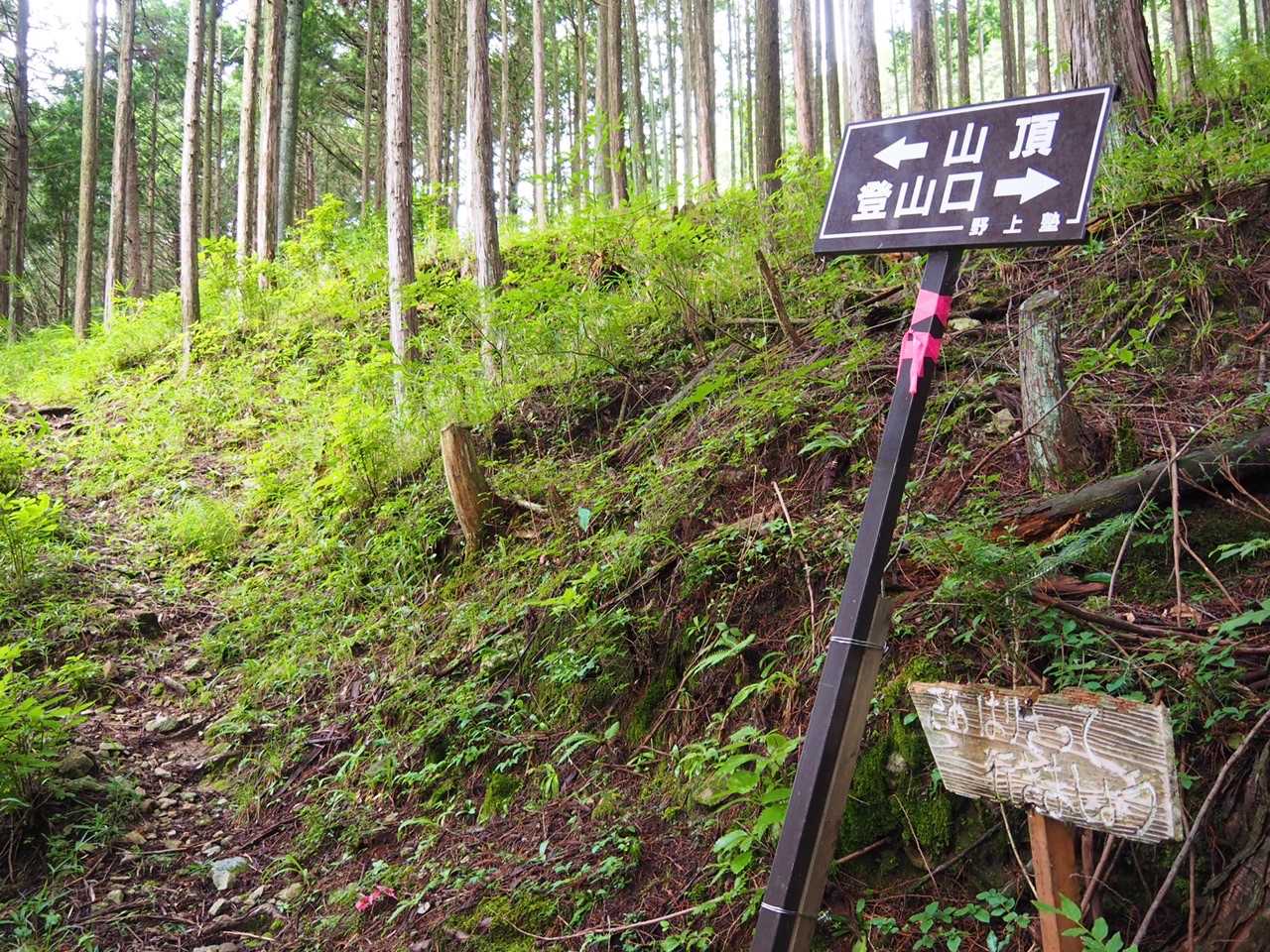 『さあ はりきって
　行きましょう』
いきなり力をもらいます！