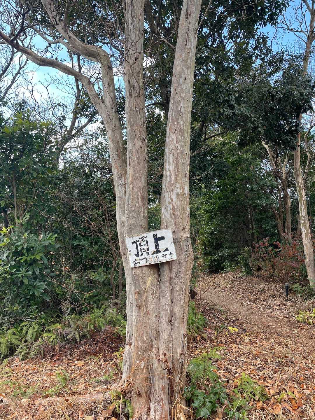 京ヶ峯 周回コースの写真