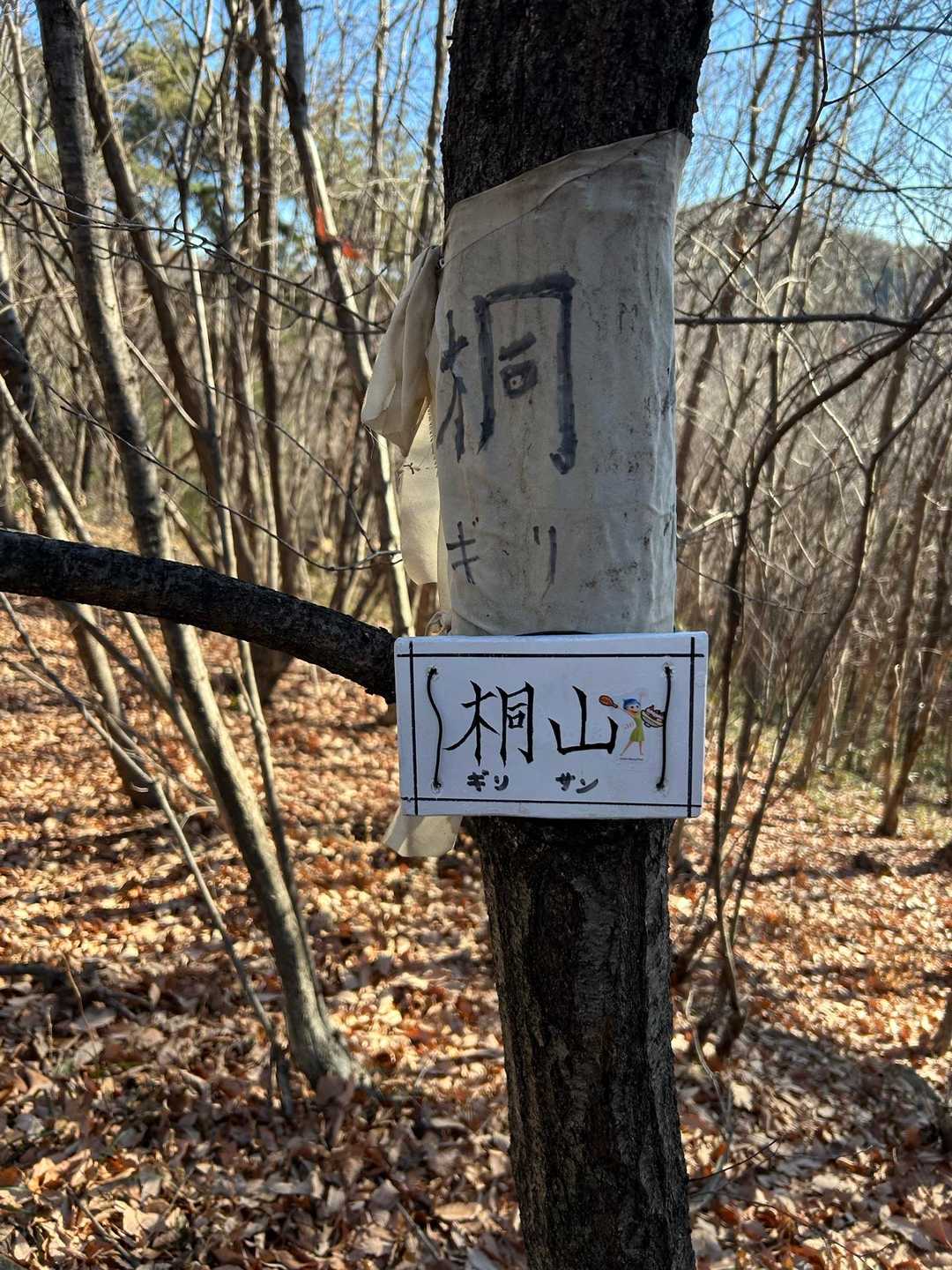 １個目のピーク😇