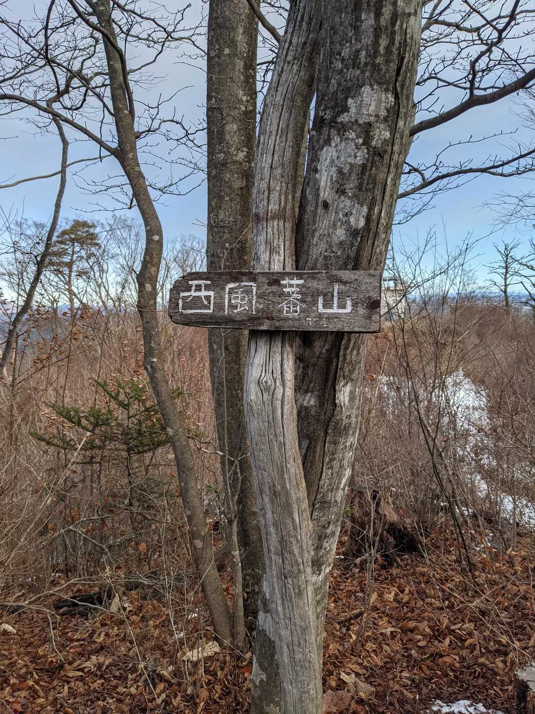 西風（ならい）蕃山（ばんざん）の山頂です。