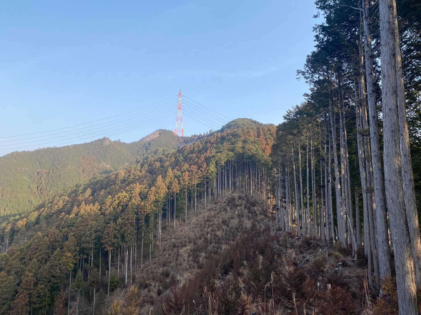 鳴蟲山 往復コースの写真