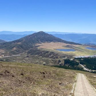 烏帽子ちゃんはまた今度🌸
