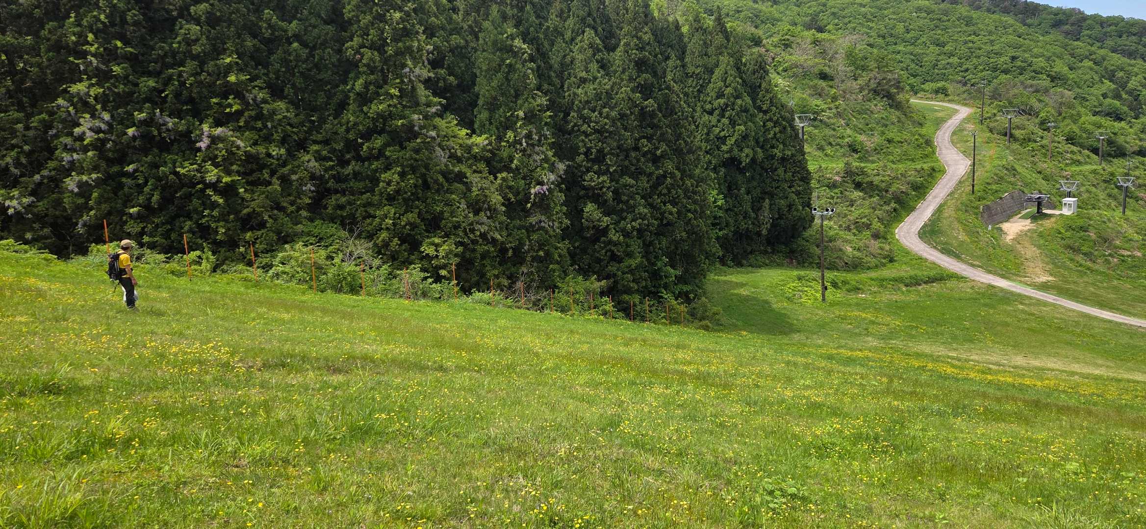 大倉岳-ほとけ峠 往復コースの写真