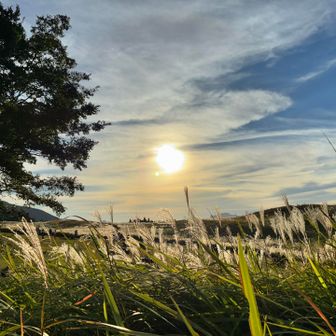 ポイントまでもステキすぎて📷撮るとる😁