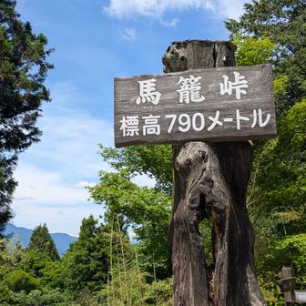 車で移動しました