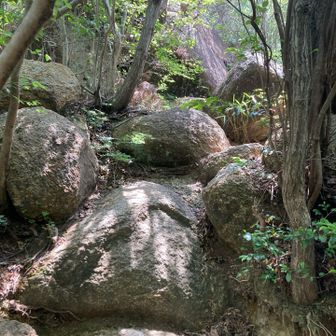 荒地山への岩登り。楽しい。